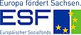 Logo des Europäischen Sozialfonds (ESF)